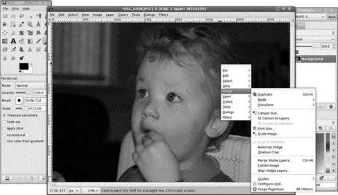 FIGURE 75 Rightclick on an image window to access The GIMPs cascading menus - фото 91