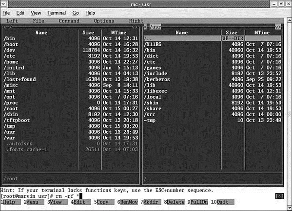 FIGURE 134 The Midnight Commander is a highly versatile file tool If it does - фото 130