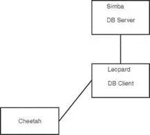 FIGURE 185 The user logs in to the remote host leopardfrom the workstation - фото 146