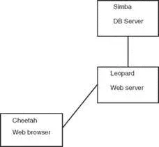FIGURE 187 The user accesses the database through the World Wide Web The - фото 148