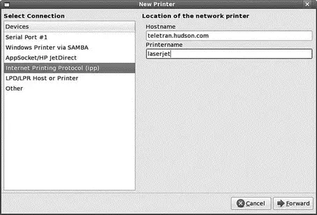 FIGURE 1910 Enter the hostname or IP address of the remote computer with a - фото 158