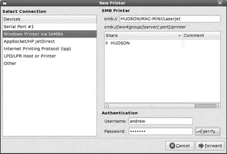 FIGURE 1911 Create a shared remote printer using required information for - фото 159