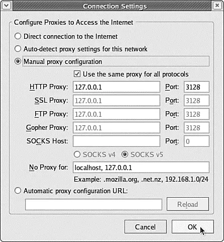 FIGURE 221 Setting up Firefox to use 127001 routes all its web requests - фото 167