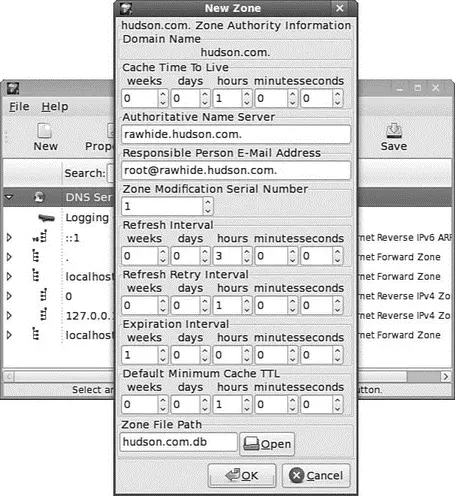 FIGURE 233 Use systemconfigbindto add a new DNS record to your server or - фото 170
