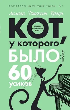 Лилиан Браун Кот, у которого было 60 усиков обложка книги