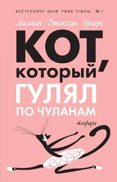 Лилиан Браун Кот, который гулял по чуланам обложка книги