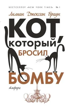 Лилиан Браун Кот, который бросил бомбу обложка книги