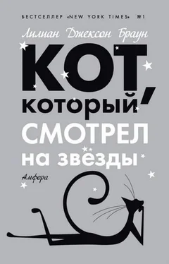 Лилиан Браун Кот, который смотрел на звезды обложка книги