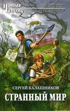 Сергей Калашников Странный мир обложка книги