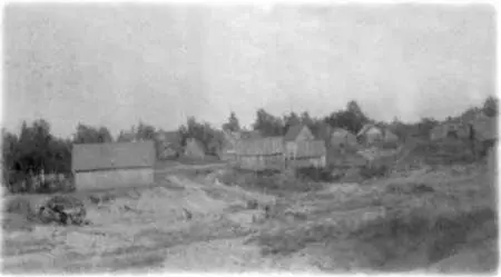 Ольгино 1900е гг Дачники в Стрельне 1910е гг Дача в Лисьем Носу - фото 75
