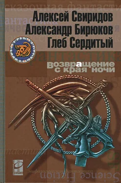 Алексей Свиридов Возвращение с края ночи обложка книги