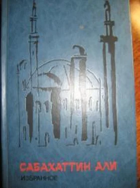 Сабахаттин Али Мадонна в меховом манто обложка книги