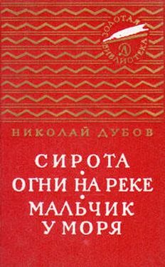 Николай Дубов Огни на реке обложка книги