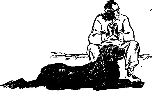 Ругань тетки Катри наскучила Бою он встал потянулся и зевнул во всю пасть - фото 31