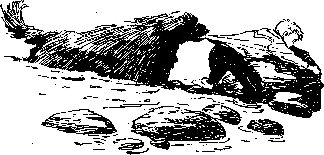 Толя с коварной нежностью сказала девочка что ты там делаешь Почему ты - фото 35