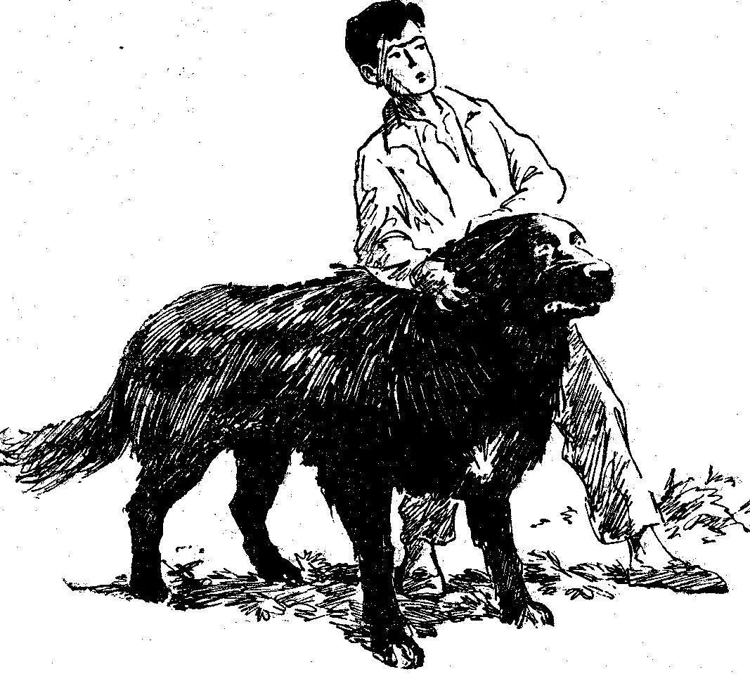 Ну это ты врешь не приучайся врать даже в восторге И вообще хватит - фото 39