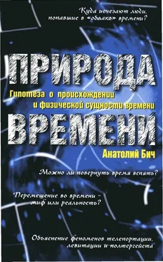 Анатолий Бич Природа времени: Гипотеза о происхождении и физической сущности времени обложка книги