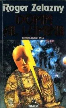 Roger Zelazny Domn al Luminii обложка книги