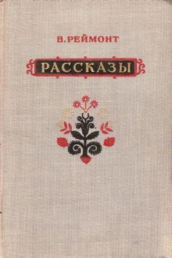 Владислав Реймонт Рассказы обложка книги