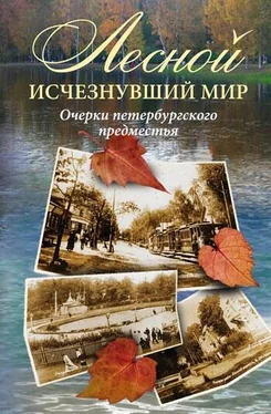 Коллектив авторов Лесной: исчезнувший мир. Очерки петербургского предместья