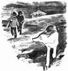 Н. Балдев - Белый волк