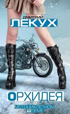 Дмитрий Лекух Орхидея в мотоциклетном шлеме (сборник) обложка книги