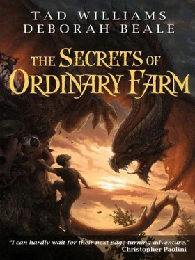 Tad Williams The Secrets of Ordinary Farm обложка книги