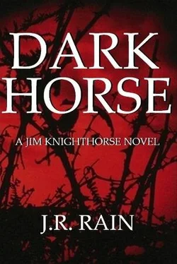 J Rain Dark horse обложка книги