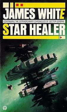 James White Star Healer обложка книги