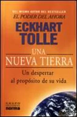 Eckhart Tolle Una Nueva Tierra обложка книги