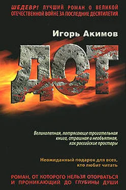 Игорь Акимов Дот обложка книги