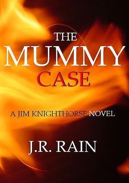 J Rain The Mummy Case обложка книги