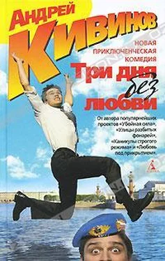 Андрей Кивинов Хенк и Боб обложка книги