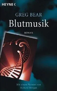 Greg Bear Blutmusik обложка книги