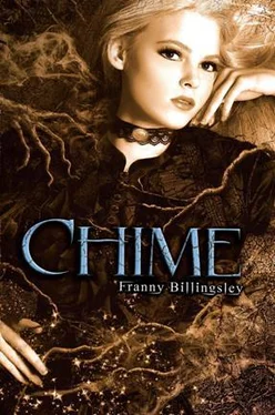 Franny Billingsley Chime обложка книги