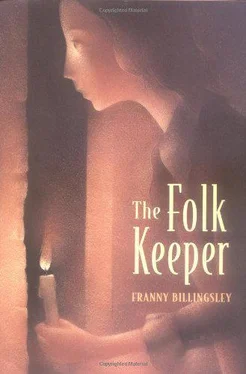 Franny Billingsley The Folk Keeper обложка книги