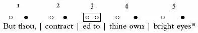 18 That third foot is now pyrrhic two unaccented beats weve taken the usual - фото 53