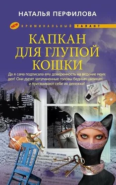 Наталья Перфилова Капкан для глупой кошки обложка книги