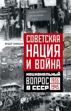 Федор Синицин Советская нация и война. Национальный вопрос в СССР, 1933–1945 обложка книги