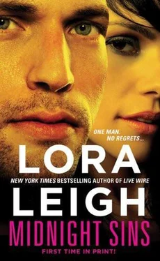 Lora Leigh Midnight Sins обложка книги