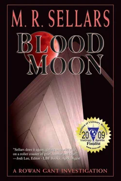 M Sellars Blood Moon обложка книги