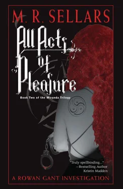 M Sellars All acts of pleasure обложка книги