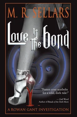 M Sellars Love Is The Bond обложка книги