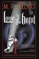 M Sellars - Love Is The Bond