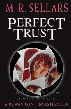 M Sellars Perfect Trust обложка книги