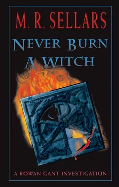 M Sellars Never Burn A Witch обложка книги