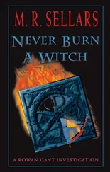 M Sellars - Never Burn A Witch