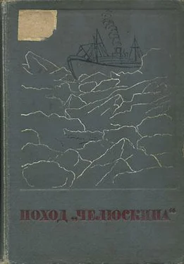 Коллектив авторов Сборник Поход «Челюскина» обложка книги