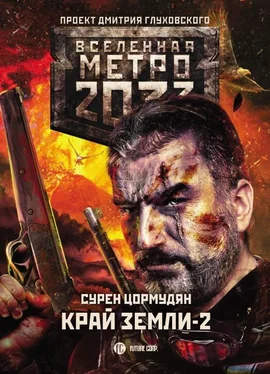 Сурен Цормудян Метро 2033: Край земли-2. Огонь и пепел обложка книги