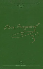 Николай Некрасов - Том 3. Стихотворения 1866-1877